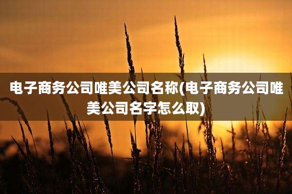 电子商务公司唯美公司名称(电子商务公司唯美公司名字怎么取)