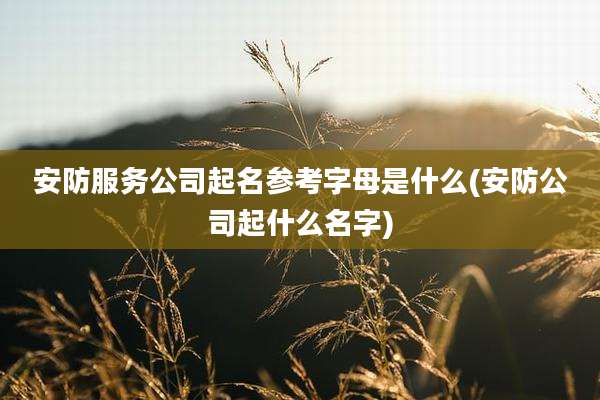 安防服务公司起名参考字母是什么(安防公司起什么名字)