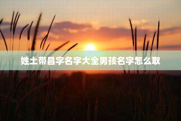 姓土带昌字名字大全男孩名字怎么取