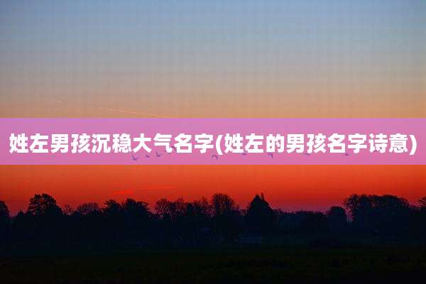姓左男孩沉稳大气名字(姓左的男孩名字诗意)