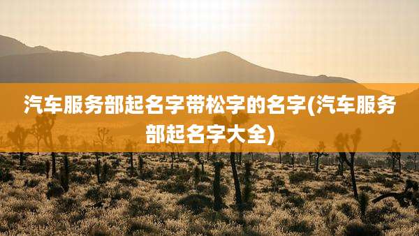 汽车服务部起名字带松字的名字(汽车服务部起名字大全)