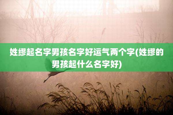 姓缪起名字男孩名字好运气两个字(姓缪的男孩起什么名字好)