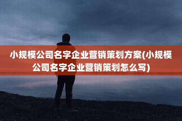 小规模公司名字企业营销策划方案(小规模公司名字企业营销策划怎么写)