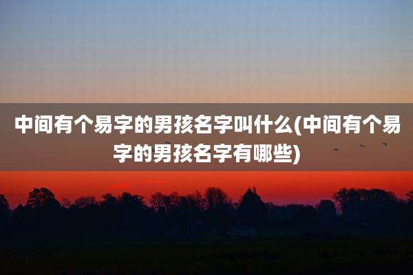 中间有个易字的男孩名字叫什么(中间有个易字的男孩名字有哪些)