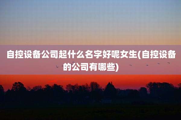 自控设备公司起什么名字好呢女生(自控设备的公司有哪些)