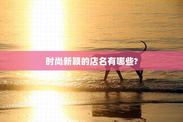 时尚新颖的店名有哪些?