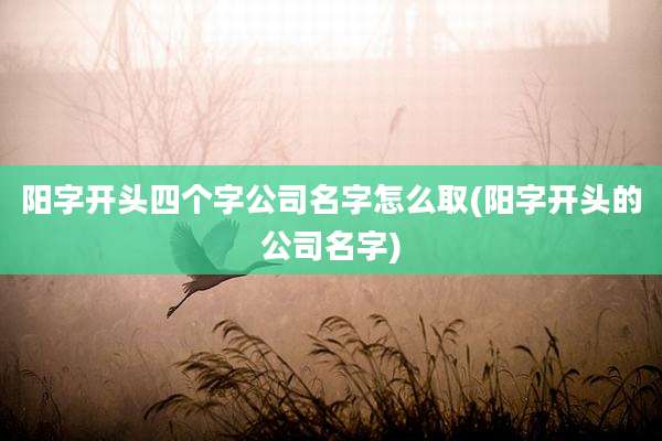 阳字开头四个字公司名字怎么取(阳字开头的公司名字)