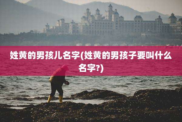 姓黄的男孩儿名字(姓黄的男孩子要叫什么名字?)