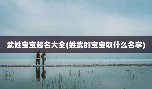 武姓宝宝起名大全(姓武的宝宝取什么名字)