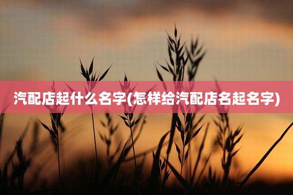 汽配店起什么名字(怎样给汽配店名起名字)