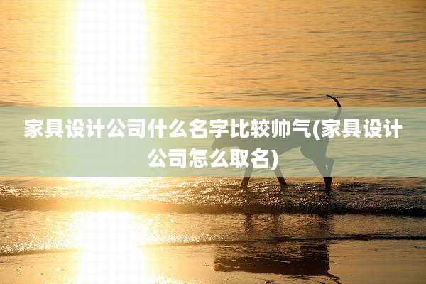 家具设计公司什么名字比较帅气(家具设计公司怎么取名)
