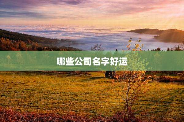 哪些公司名字好运
