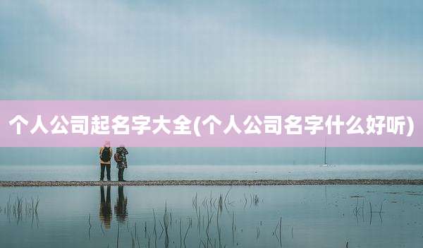 个人公司起名字大全(个人公司名字什么好听)
