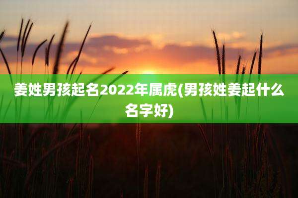 姜姓男孩起名2022年属虎(男孩姓姜起什么名字好)