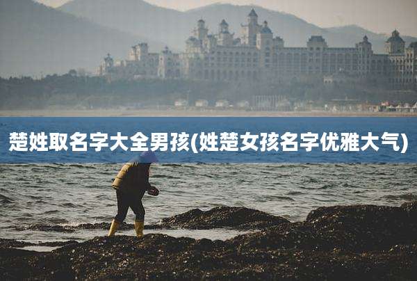 楚姓取名字大全男孩(姓楚女孩名字优雅大气)