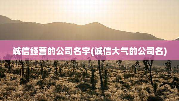 诚信经营的公司名字(诚信大气的公司名)