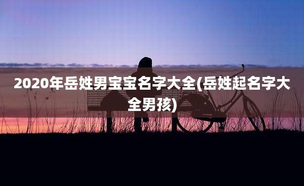 2020年岳姓男宝宝名字大全(岳姓起名字大全男孩)