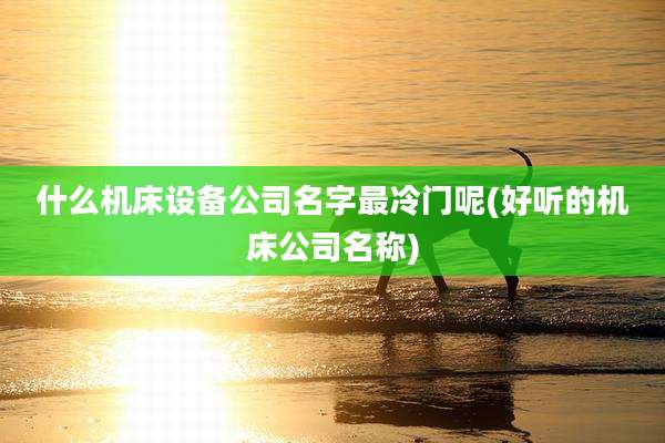什么机床设备公司名字最冷门呢(好听的机床公司名称)
