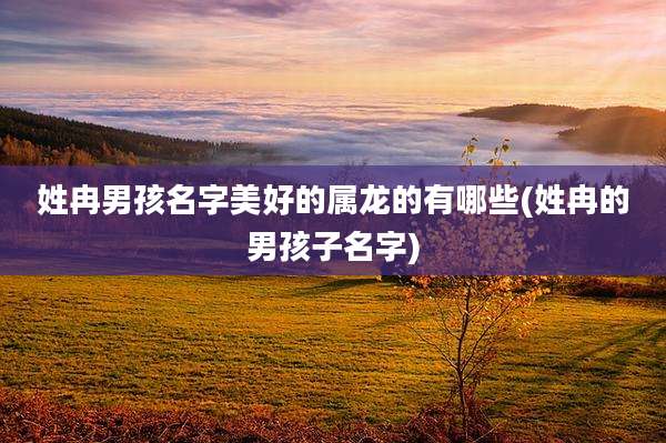姓冉男孩名字美好的属龙的有哪些(姓冉的男孩子名字)