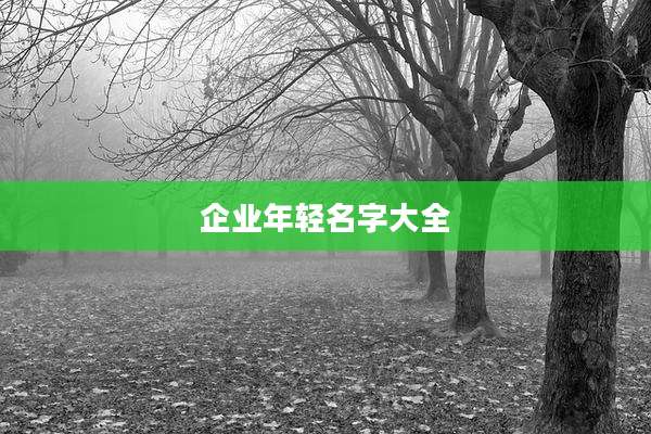 企业年轻名字大全