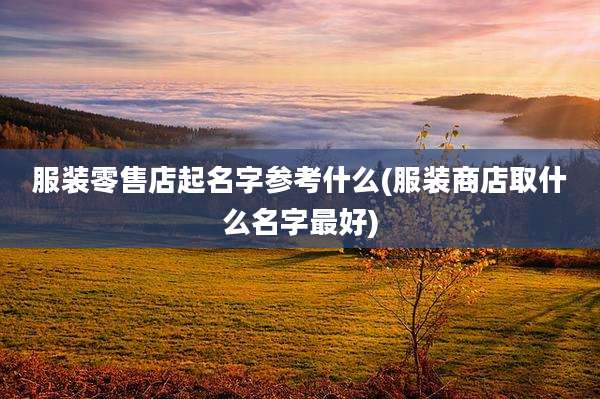 服装零售店起名字参考什么(服装商店取什么名字最好)