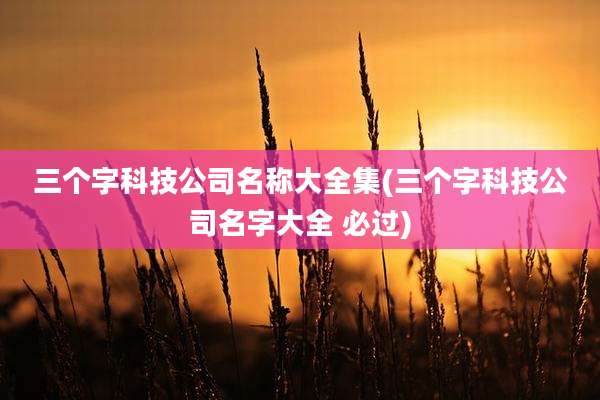 三个字科技公司名称大全集(三个字科技公司名字大全 必过)