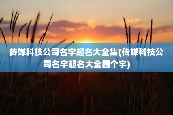 传媒科技公司名字起名大全集(传媒科技公司名字起名大全四个字)