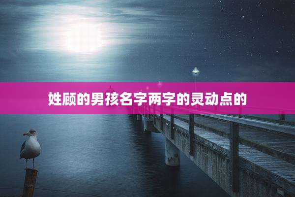 姓顾的男孩名字两字的灵动点的