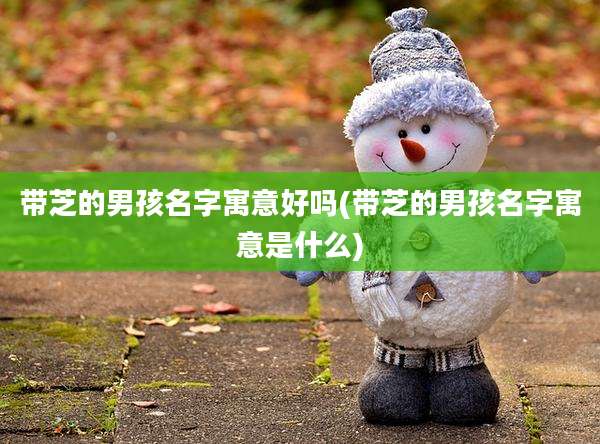 带芝的男孩名字寓意好吗(带芝的男孩名字寓意是什么)