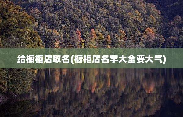 给橱柜店取名(橱柜店名字大全要大气)