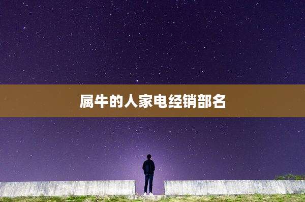 属牛的人家电经销部名
