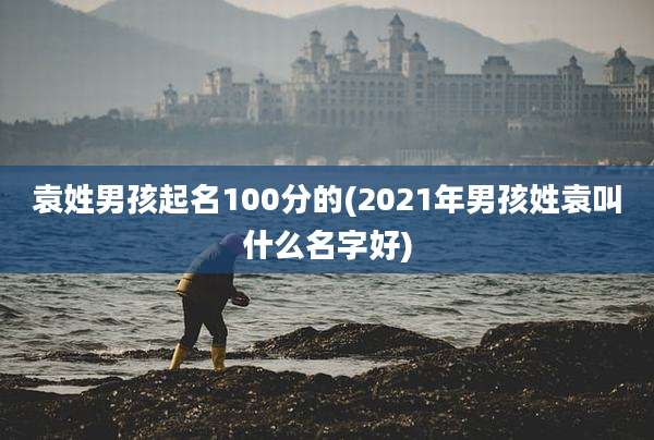 袁姓男孩起名100分的(2021年男孩姓袁叫什么名字好)