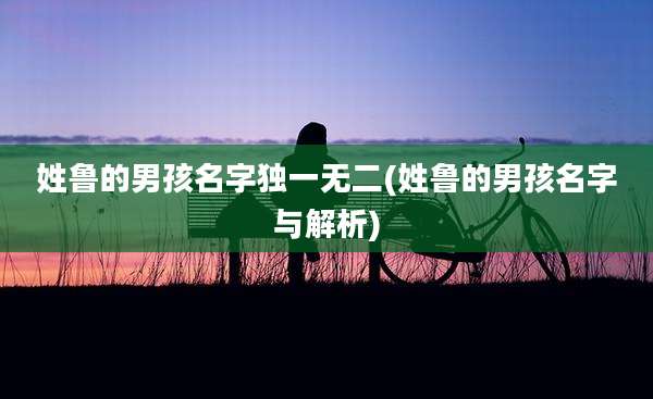 姓鲁的男孩名字独一无二(姓鲁的男孩名字与解析)