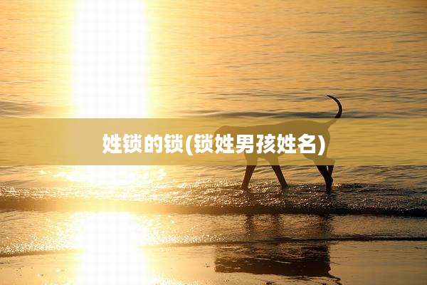 姓锁的锁(锁姓男孩姓名)