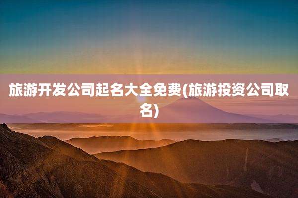 旅游开发公司起名大全免费(旅游投资公司取名)
