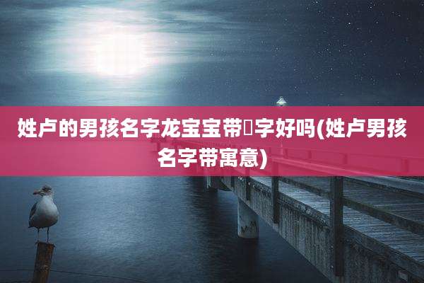 姓卢的男孩名字龙宝宝带珺字好吗(姓卢男孩名字带寓意)