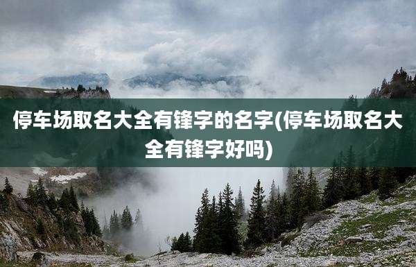 停车场取名大全有锋字的名字(停车场取名大全有锋字好吗)