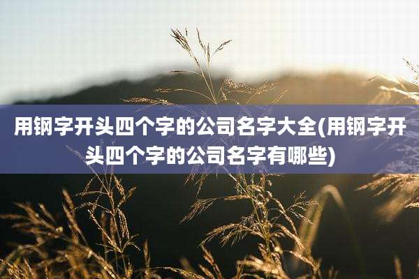 用钢字开头四个字的公司名字大全(用钢字开头四个字的公司名字有哪些)
