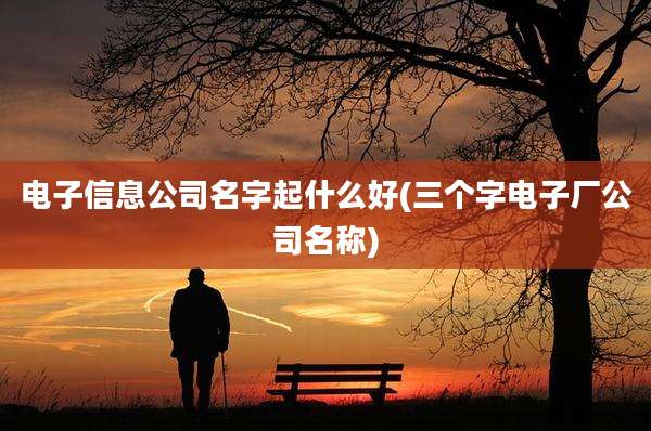 电子信息公司名字起什么好(三个字电子厂公司名称)