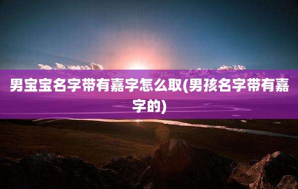 男宝宝名字带有嘉字怎么取(男孩名字带有嘉字的)