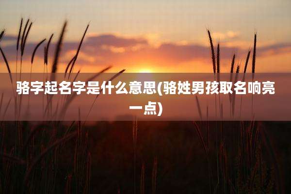 骆字起名字是什么意思(骆姓男孩取名响亮一点)