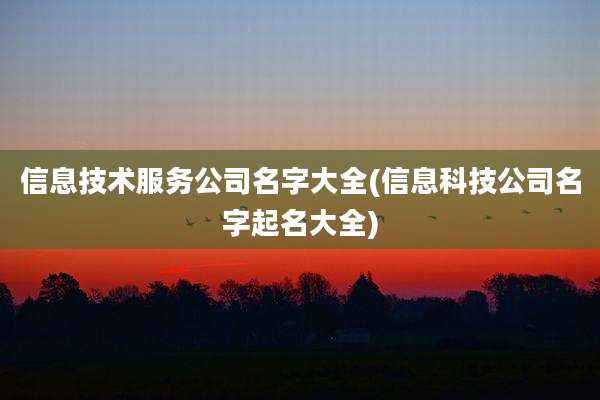 信息技术服务公司名字大全(信息科技公司名字起名大全)