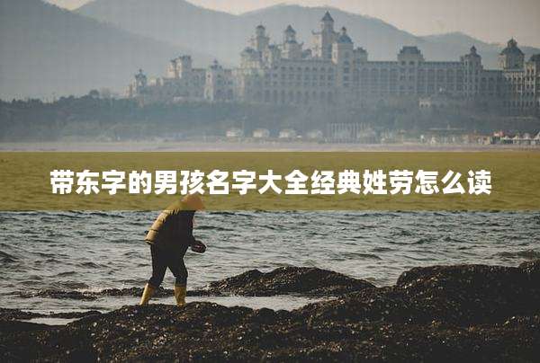 带东字的男孩名字大全经典姓劳怎么读