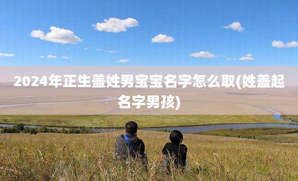 2024年正生盖姓男宝宝名字怎么取(姓盖起名字男孩)