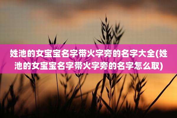 姓池的女宝宝名字带火字旁的名字大全(姓池的女宝宝名字带火字旁的名字怎么取)