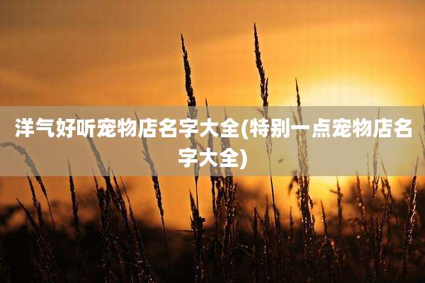 洋气好听宠物店名字大全(特别一点宠物店名字大全)