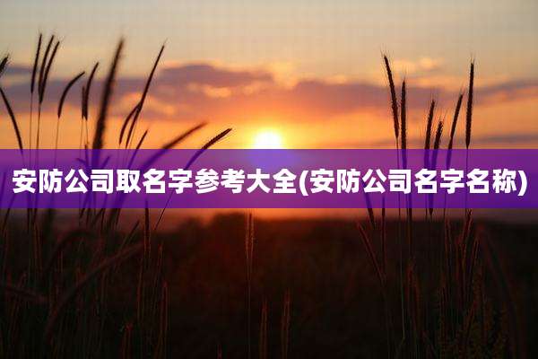 安防公司取名字参考大全(安防公司名字名称)
