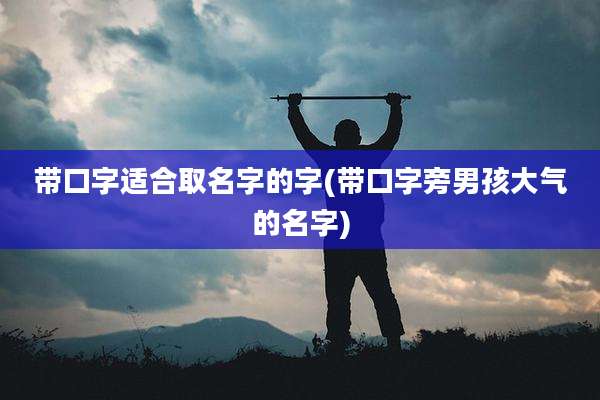 带口字适合取名字的字(带口字旁男孩大气的名字)