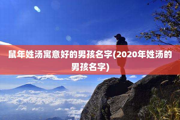 鼠年姓汤寓意好的男孩名字(2020年姓汤的男孩名字)