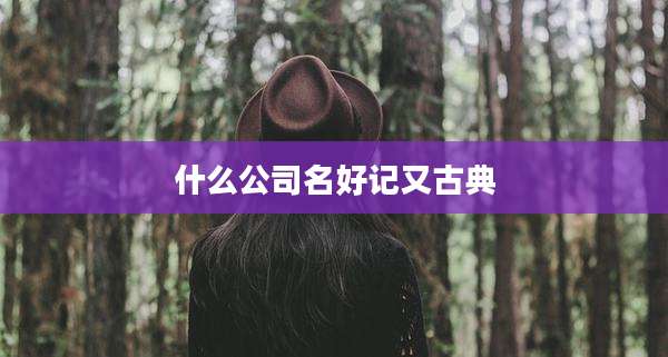 什么公司名好记又古典